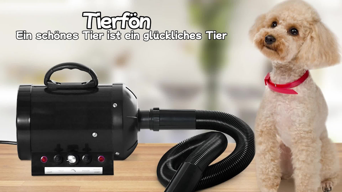 Profi Hundefön Tierfön Pet Dryer Flüsterfön Hundetrockner 2800W Metall Schwarz